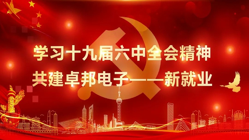 ZOBO草莓视频在线观看网站党支部丨开展“学习贯彻党的十九届六中全会精神”主题党日活动